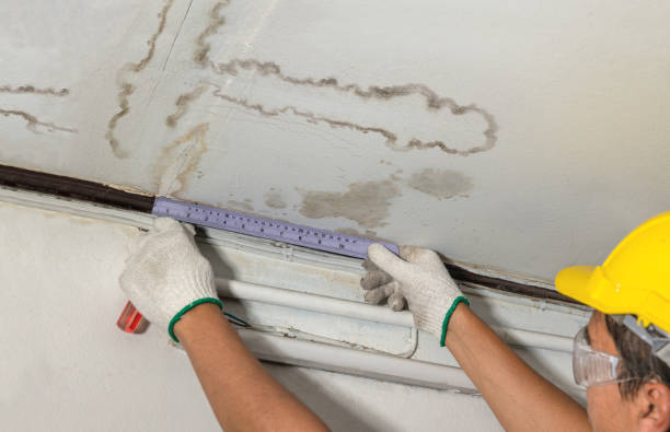 Reliable Water Damage contractor in Red Bay, AL by Water Damage Irwin